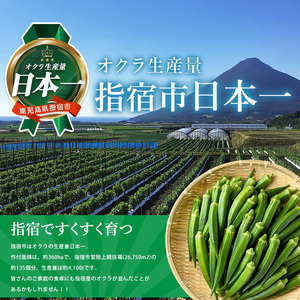 2026年 発送 夏の元気の源! 朝採れ新鮮いぶすきオクラ約3.5kg 指宿促成青果 IB092-002 オクラ オクラ
