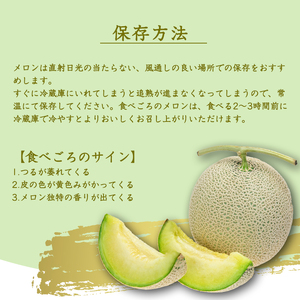 令和8年産 アールスメロン 2玉セット 秀品 Lサイズ （計3.5kg） 山形県産 【2026年9月中旬頃から10月下旬頃発送予定】　015-B-JA020