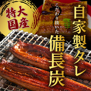紀州備長炭焼き 特大 うなぎ 蒲焼き(国産)【鰻 ウナギ 丑の日 土用 蒲焼き 関西風 冷凍】_R6102