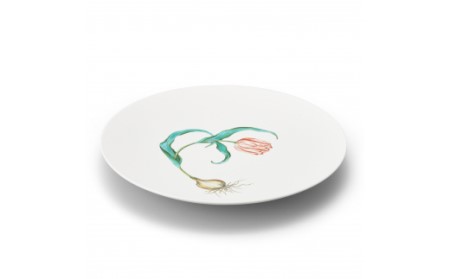 プレート 平皿 【伊万里焼】Tulips φ29cm Plate 028-H837