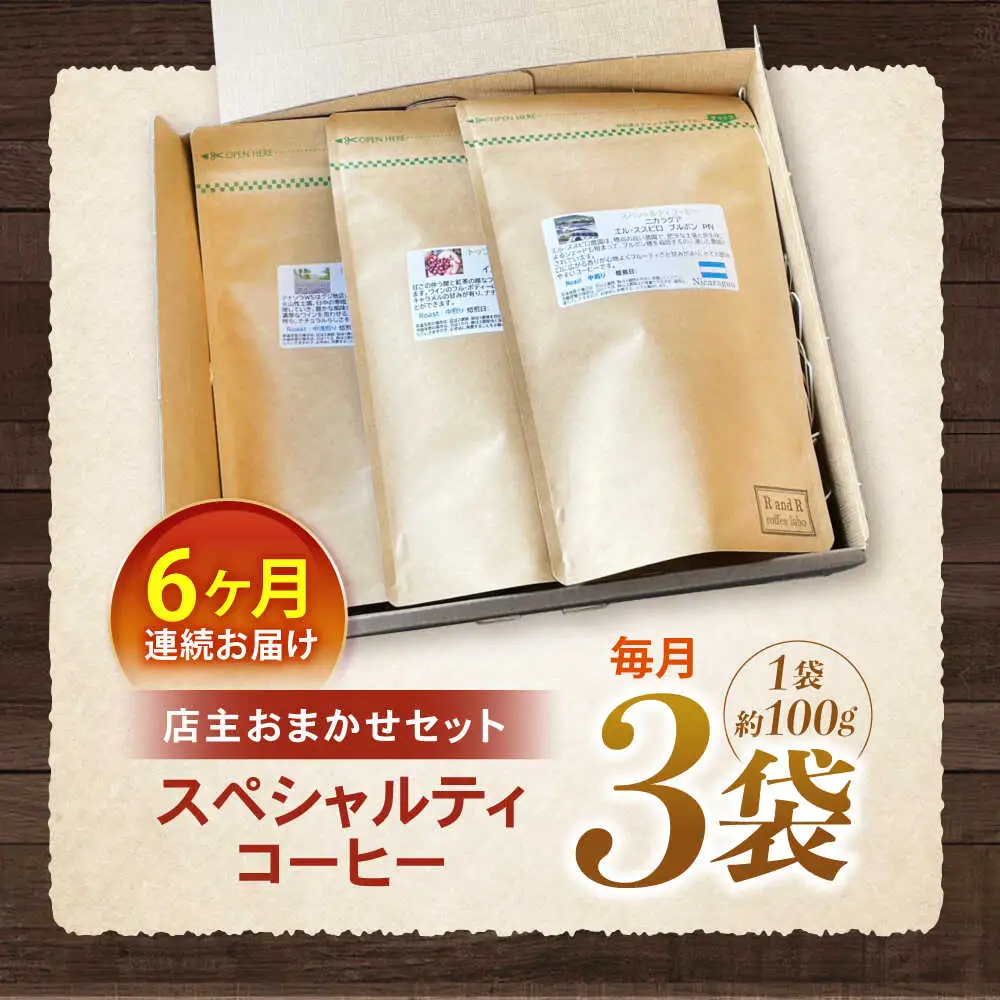【6回定期便】挽き方が選べます！自家焙煎スペシャルティコーヒーおまかせセット(中挽き) / スペシャルティコーヒー ブレンド コーヒー 中挽き / 諫早市 / R and R coffee labo [AHCJ009]