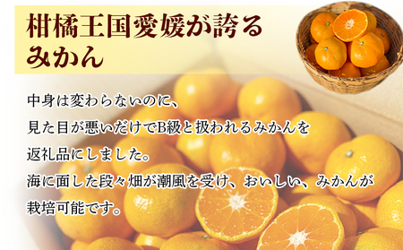 愛媛県明浜産「皮より中身」みかん（10kg） ATI0013