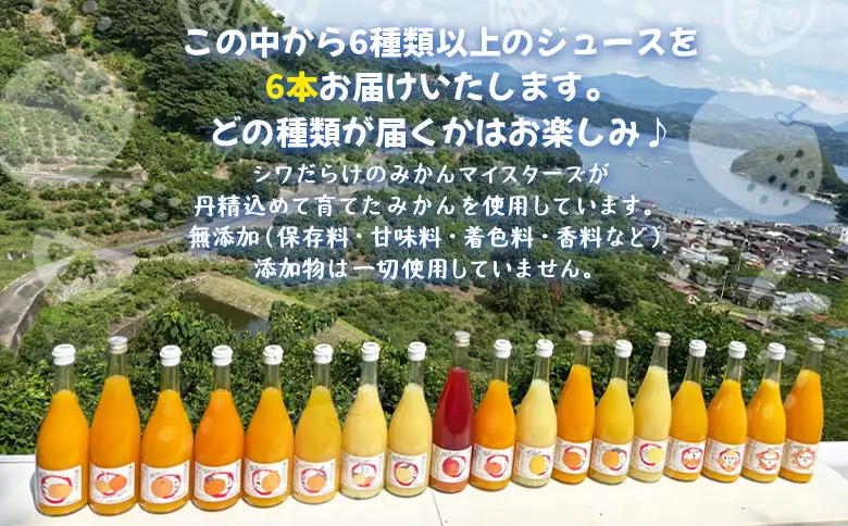 ＜一歩会 ジュエリーボックス ジュース飲み比べセット 720ml×6本入り（果汁100%ストレートジュース）愛媛 みかん＞ ミカン 柑橘 果物 フルーツ 特産品 渡江から一歩を踏み出す会 飲んで応援 愛媛県 西予市【常温】『令和8年5月より順次出荷予定』ATI0020