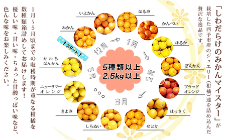 愛媛県明浜産 ジュエリーボックス（柑橘編）2.5kg【２月配送】 ATI0022_02