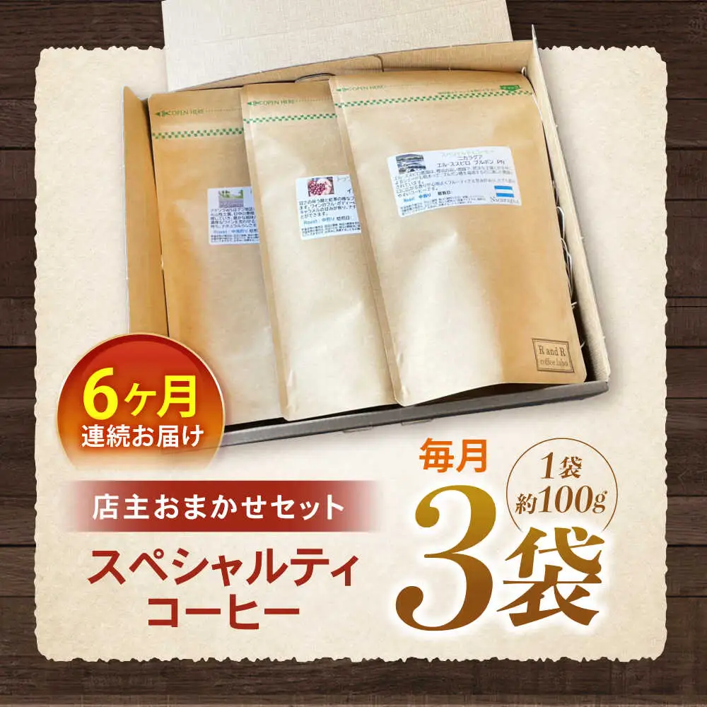 【6回定期便】自家焙煎スペシャルティコーヒーおまかせセット(豆のまま) / スペシャルティコーヒー ブレンド コーヒー / 諫早市 / R and R coffee labo [AHCJ020]