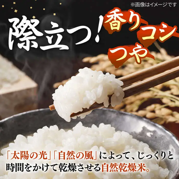 【R7年度産】天日自然乾燥米こしひかり 10kg《壱岐市》 【長米壱岐営業所】[JCZ013] 米 お米