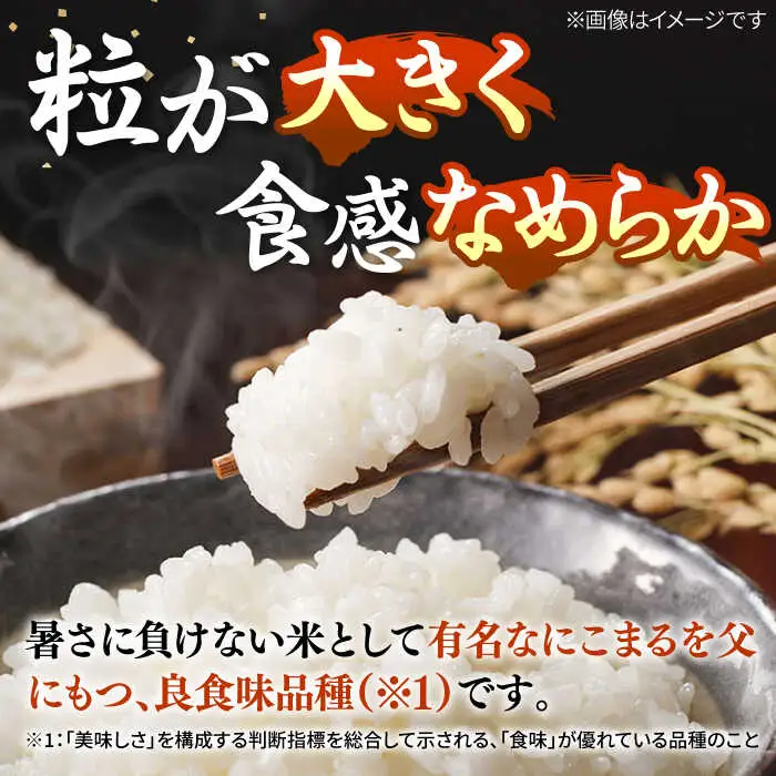 【R7年度産】壱岐産米 なつほのか 10kg [JCZ015] 米 お米