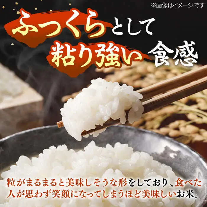 【R7年度産】壱岐産米 にこまる 10kg [JCZ017] 米 お米 ごはん ご飯 にこまる 特A お弁当 30000 30000円 のし プレゼント ギフト 九州
