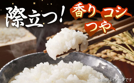 【R6年度産】壱岐産米 掛け干しひのひかり 5kg [JCZ024] 米 お米 ごはん ご飯 ひのひかり お弁当 10000 10000円 のし プレゼント ギフト 九州