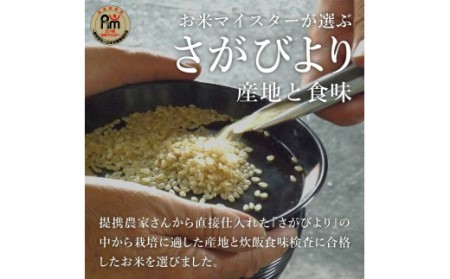 令和7年産 【定期便】《無洗米》さがびより 5kg×12回 999-B1061