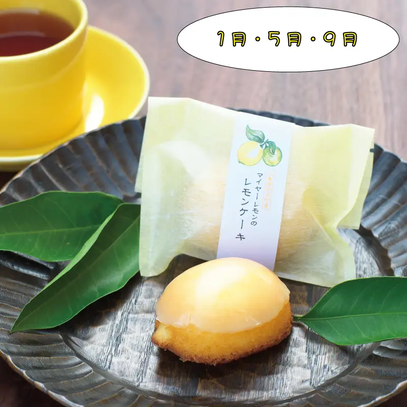 定期便 【新宮市】スイーツセット　4回 / ケーキ マイヤーレモン レモン 焼菓子 和菓子 サブレ まんじゅう 饅頭 ミルク みかん ご当地【tkb137】