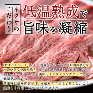 おおいた和牛 カルビ 焼肉 (300g) 国産 牛肉 肉 霜降り 低温熟成 A4 和牛 ブランド牛 BBQ 冷凍 大分県 佐伯市【DH218】【(株)ネクサ】