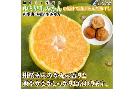 みかんこい梅 100g×5個【0920-3】