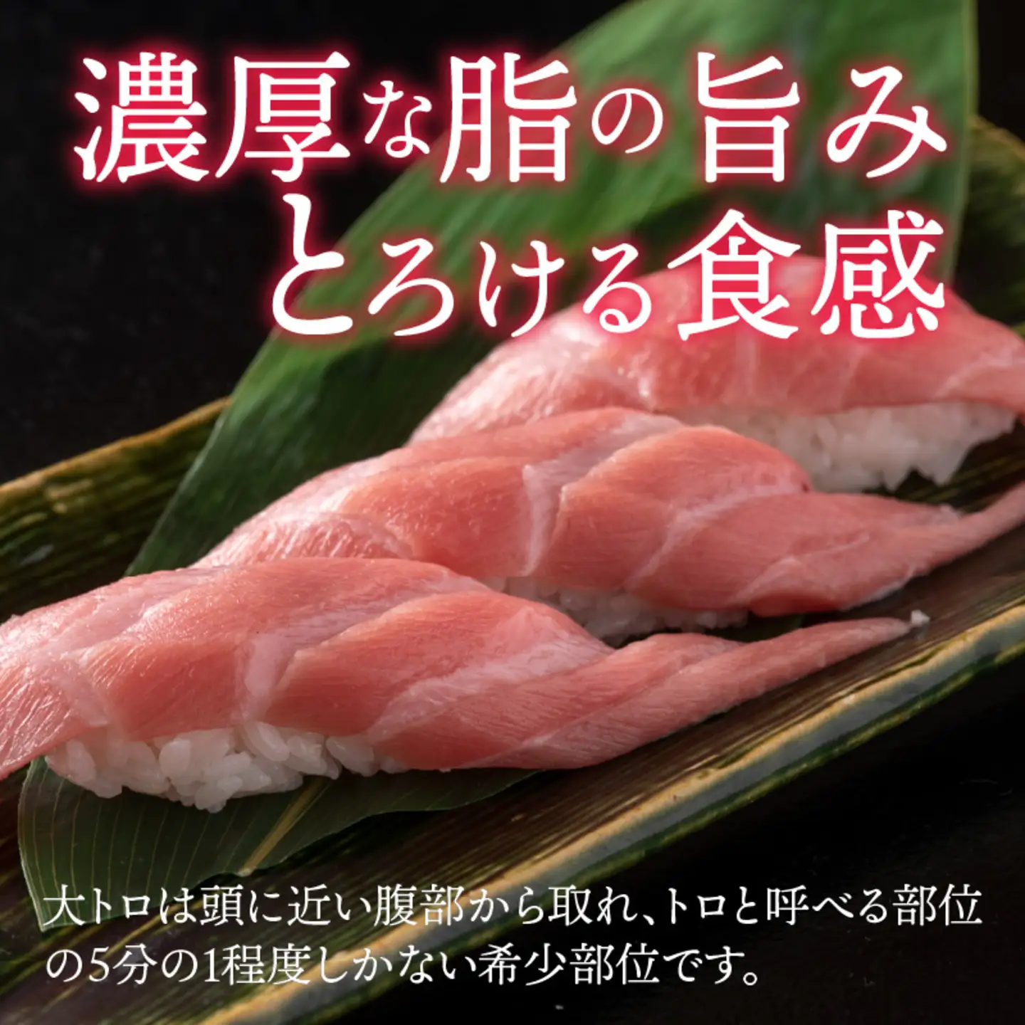 【定期便】【3ヶ月連続お届け】 刺身用！本マグロ　大トロ（柵どり） 500g × 3回【最新の冷凍技術】 　海鮮 魚