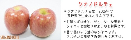 りんご シナノドルチェ 秀 ～ 特秀 3kg 菅谷さんのりんご 沖縄県への配送不可 2026年9月下旬頃から2026年10月上旬頃まで順次発送予定 令和8年度出荷分 長野県 飯綱町 [0790]