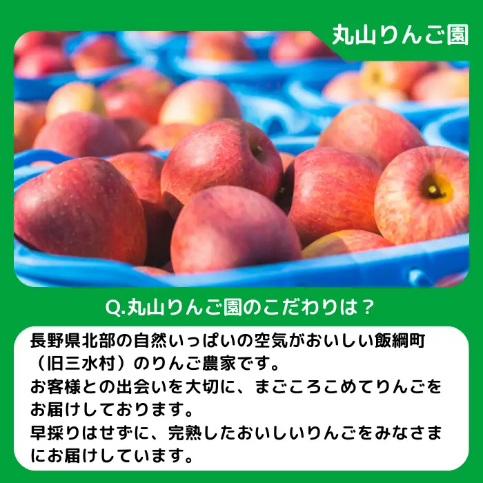 りんご シナノゴールド 秀 ～ 特秀 3kg 丸山りんご園 沖縄県への配送不可 2026年11月上旬頃から2026年12月上旬頃まで順次発送予定 令和8年度収穫分 信州 果物 フルーツ リンゴ 林檎 長野 予約 農家直送 長野県 飯綱町 [1002]