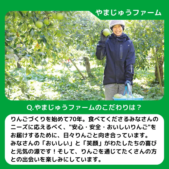 りんご シナノゴールド ＆ グラニースミス 特選 3kg 詰め合わせ セット やまじゅうファーム 沖縄県への配送不可 2026年11月下旬頃から2026年12月上旬頃まで順次発送予定 令和8年度収穫分 信州の環境にやさしい農産物 減農薬栽培 長野県 飯綱町 [1029]