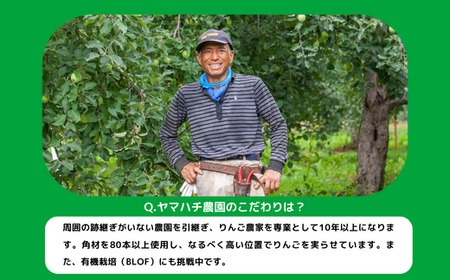 【 玄米 】 こしひかり 30kg ( 令和8年産 ) ヤマハチ農園 2026年11月上旬頃から順次発送予定 コシヒカリ お米 信州 予約 農家直送 長野県 飯綱町 [1408]