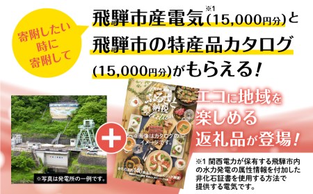ふるさとＥＣＯプラン from 飛騨市　水と森ゆたかな岐阜県飛騨市産のＣＯ2フリーの電気と飛騨市の特産品カタログ[GA500]