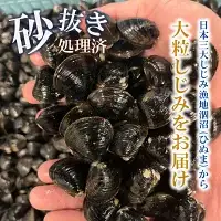 涸沼産 大粒 冷凍 しじみ 1.4kg  大和しじみ  砂抜き済_CB001