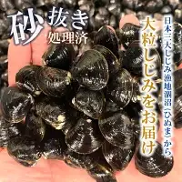 涸沼産 大粒 冷凍 しじみ 2.8kg 大和しじみ 砂抜き済_CB003