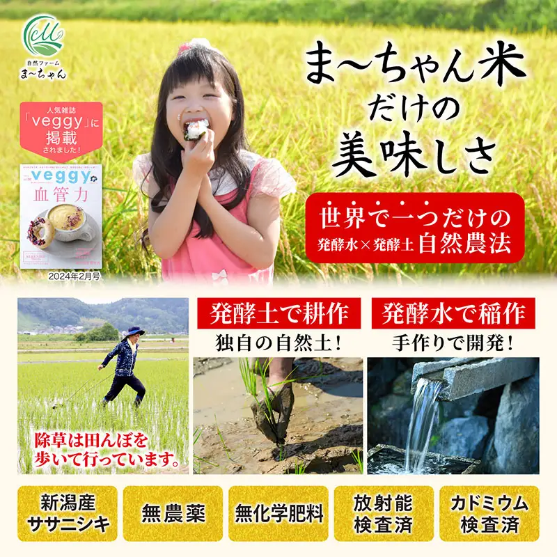 先行予約 ササニシキ 白米 9kg 令和8年 無農薬 新潟県産 ササニシキ