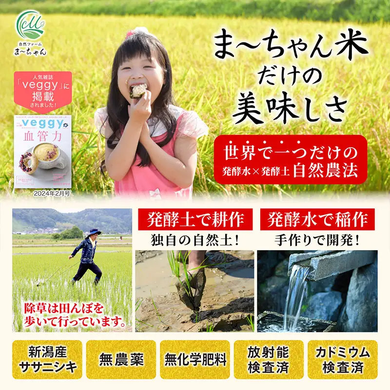 先行予約 ササニシキ 玄米 15kg 令和8年 無農薬 新潟県産 ササニシキ