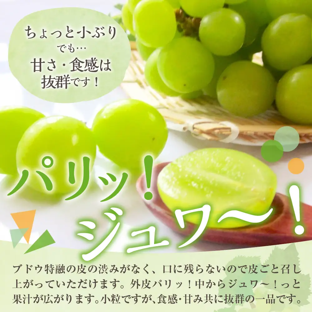 【2026年11月上旬発送】 【訳あり】 シャインマスカット 1.2kg 家庭用 青森