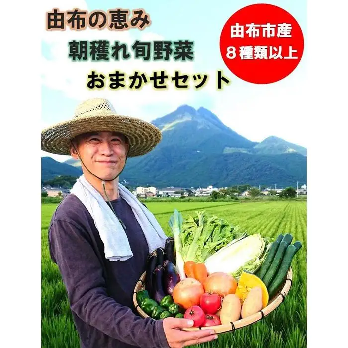 由布の恵み【新鮮 朝穫れ旬野菜！8種類以上！】おまかせお楽しみセット | 野菜