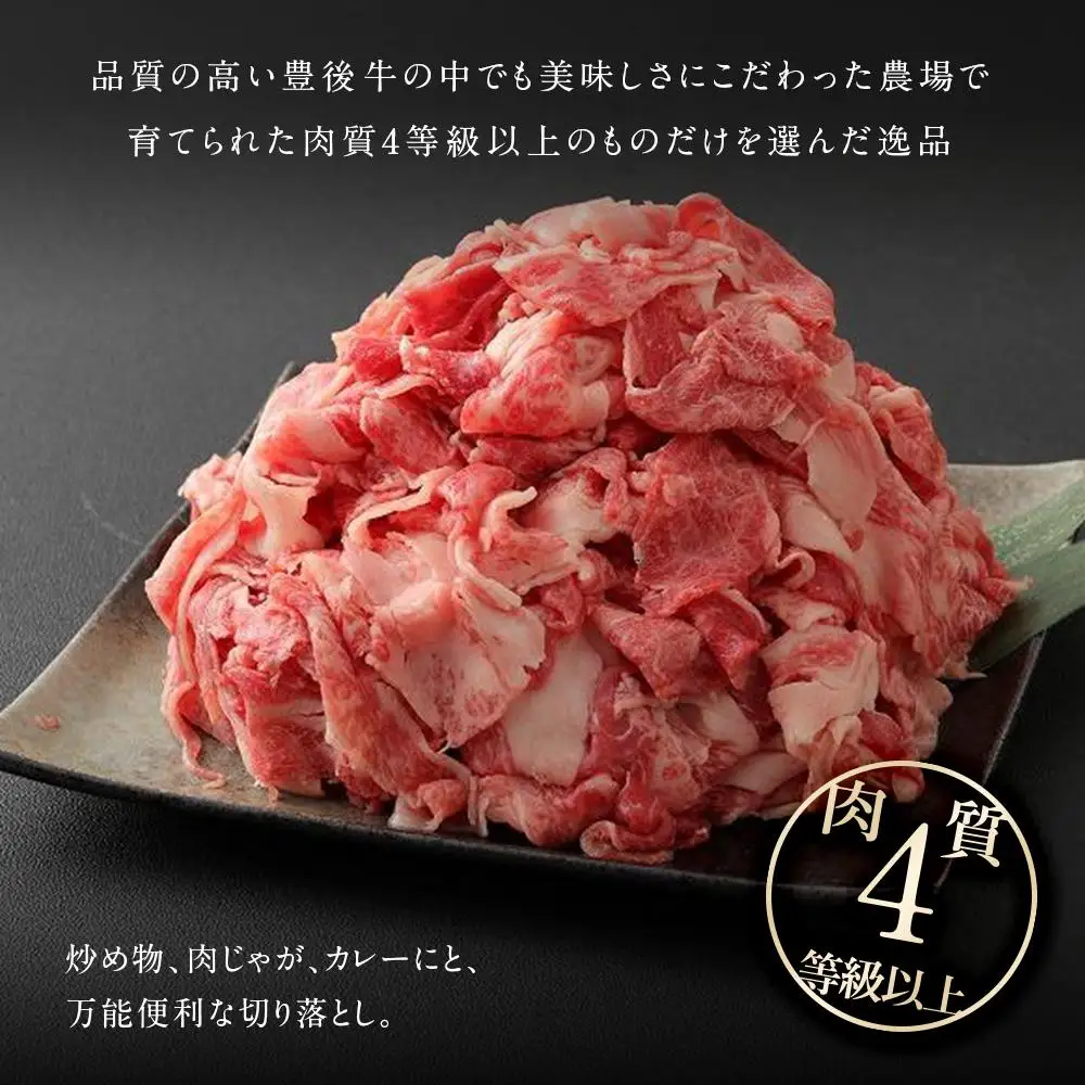【おおいた和牛】切り落とし（300ｇ×3個）｜ 肉質4等級以上 こだわりの逸品
