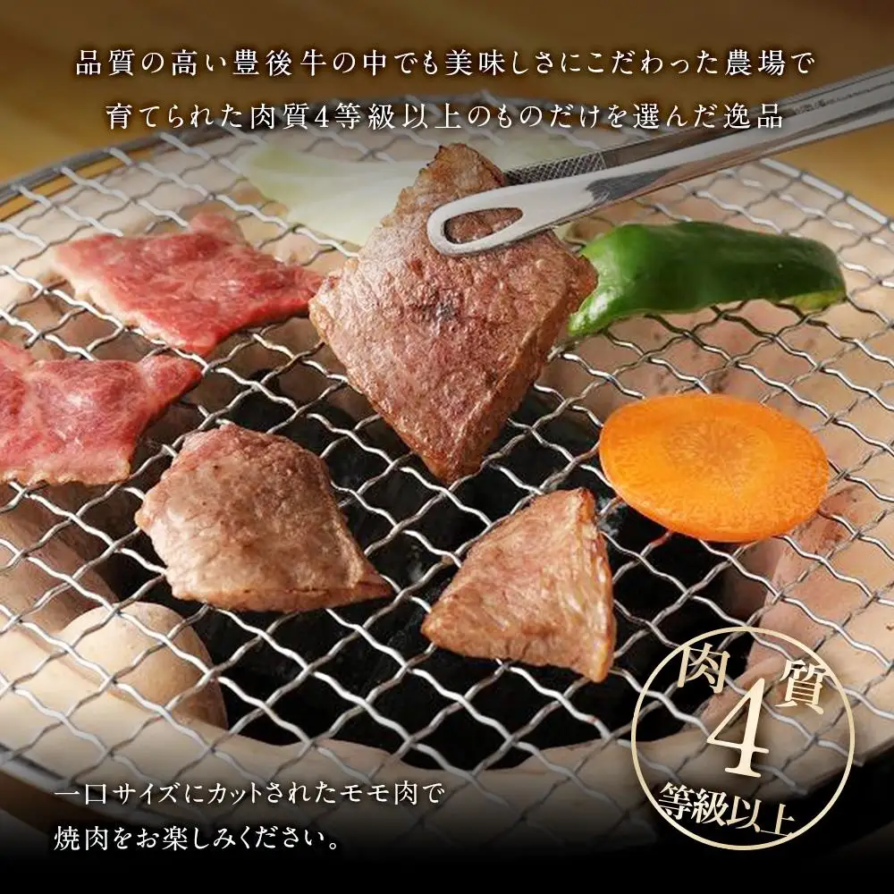 【おおいた和牛】もも焼肉用（500g）｜ 肉質4等級以上 こだわりの逸品