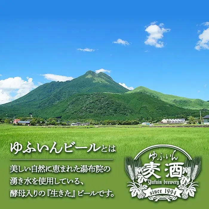 ゆふいんビール３種飲み比べセット＜3種各2本　中瓶(500ml)＞ | クラフトビール