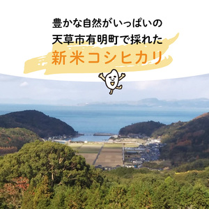 S108-003A_〈令和8年産〉熊本県天草産　天草の大地の恵み　新米コシヒカリ6㎏【先行予約】