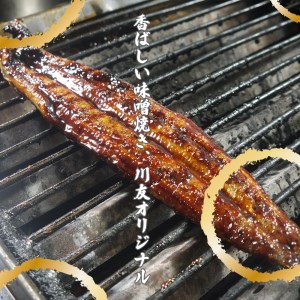 AK005_【冷蔵発送】朝開き国産うなぎ 当日発送２尾（1尾あたり約200～230ｇ） 味噌焼き 国産鰻 ウナギ 
