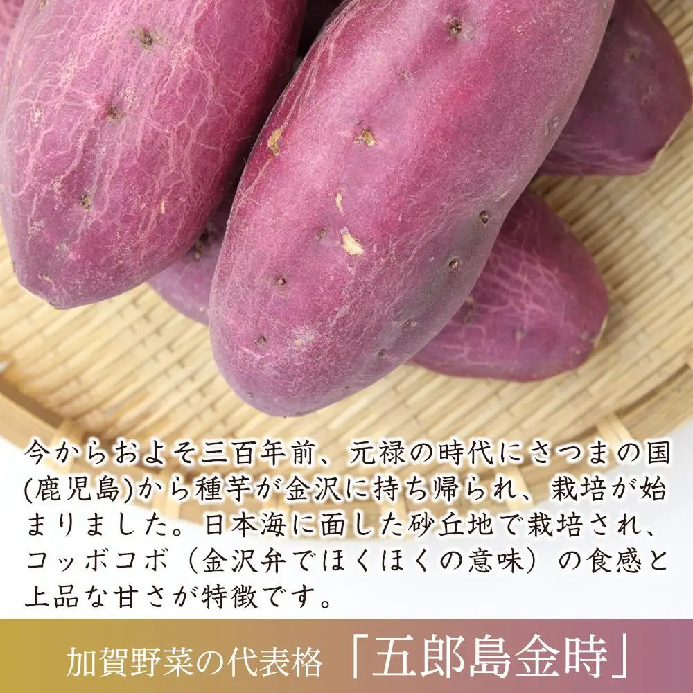 【先行予約】JA金沢市 五郎島金時 秀品5kg｜加賀の伝統野菜・人気のさつまいも ほくほく甘い