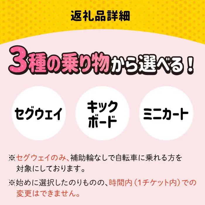 ＜30分利用券×2枚＞セグウェイ・キックボード・ミニカートの中から選べる！ 吉野ヶ里/e-ビークルパーク レジャー 乗り物 のりもの アウトドア 遊び[FCS002]