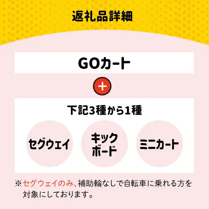 ＜各30分利用券＞ゴーカート＆セグウェイ・キックボード・ミニカートの中から１種類 吉野ヶ里/e-ビークルパーク レジャー 乗り物 のりもの アウトドア 遊び 利用券[FCS003]