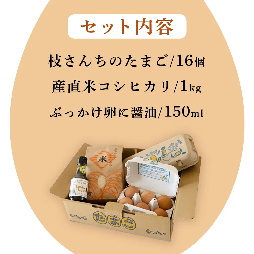 たまごかけご飯セット 卵 玉子 たまご 生卵 鶏卵 タマゴ しょうゆ 醤油 米 コシヒカリ 白米 精米 産地直送 平飼い お取り寄せ 詰め合わせ TKG 卵かけごはん 新生活 一人暮らし 桜川市産 茨城県産 [BT003sa]