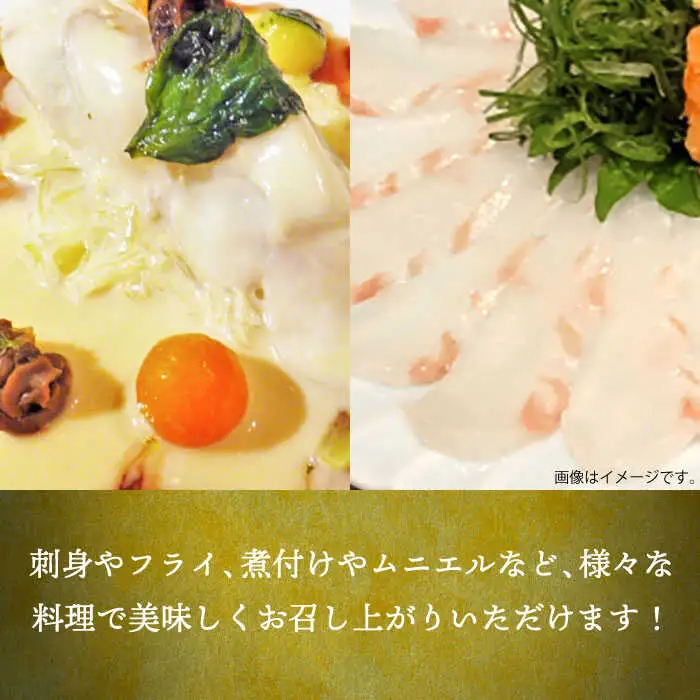 【全3回定期便】壱岐産 ヒラメフィレ 450gから500g [JDT036]