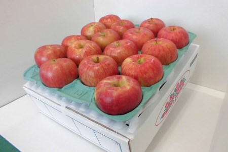 【9月発送】 りんご 5kg 葉とらず サンつがる 青森県産 りんご