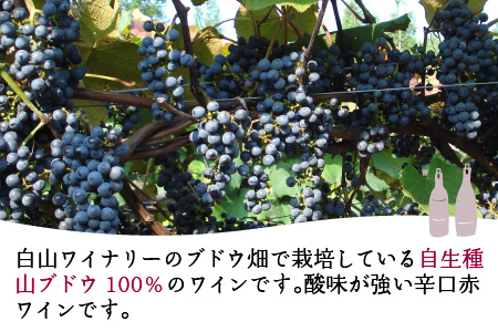 白山やまぶどうワイン樽（木箱入り）[B-021005]
