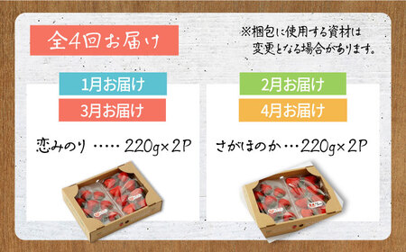 【先行予約 2027年1月以降発送】【4回定期便】食べ比べ！恋みのり＆さがほのか 定期便 / いちご [IBH008]