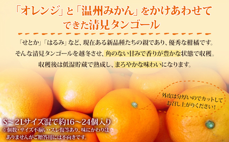 先行予約＜愛媛県西予市産 蔵出し熟成清見 約4kg＞ 果物 フルーツ みかん オレンジ きよみ  柑橘 特産品 ご自宅用 家庭用 食べて応援 愛媛県 西予市【常温】『2026年5月上旬～6月中旬迄に順次出荷予定』UUB0014