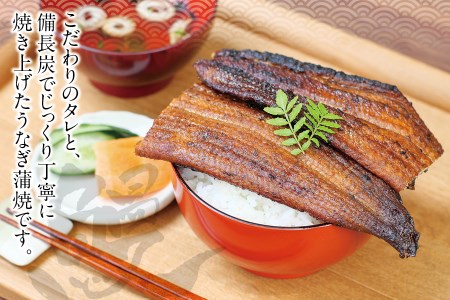 国産うなぎ 紀州備長炭で焼き上げたうなぎ約150g×2尾セット うなぎ ウナギ 鰻 蒲焼き 国産 養殖【fki300】