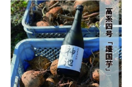 高系芋 焼酎 神池 25度 720ml 2本入