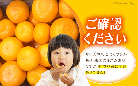 せとか 約3kg [EAS002]