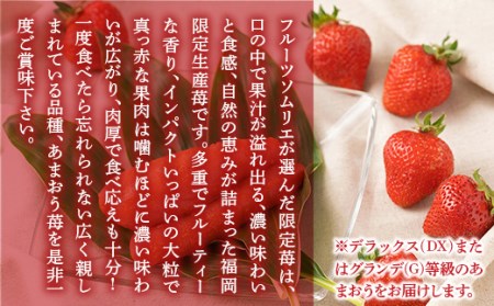 いちご 明太子 セット 福岡産あまおう 1パック 250g ふくや 290g いちご
