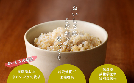 「令和6年産」【新米】  霧島湧水が育む「きりしまのゆめ」ヒノヒカリ玄米10kg 減農薬栽培のお米 TF0305-P00026