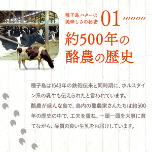 種子島 バター 200g ×6箱　NFN248 【350pt】 