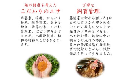 卵 夢王 30個 殿堂入り ブランド卵 卵